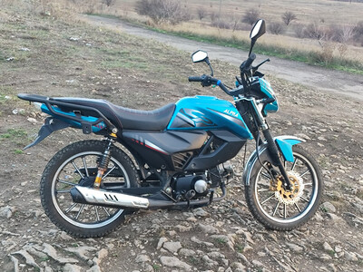 изображение,картинка к Альфу чамп 