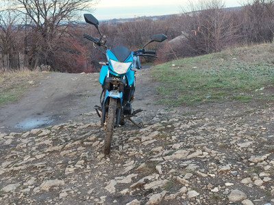 изображение,скриншот № 3 к Альфу чамп